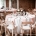 rehearsal dinner venue in boulder