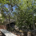 Private creekside birthday party venue in Boulder at The Riverside, with farm-to-table dining and a full bar on Boulder Creek