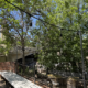 Private creekside birthday party venue in Boulder at The Riverside, with farm-to-table dining and a full bar on Boulder Creek